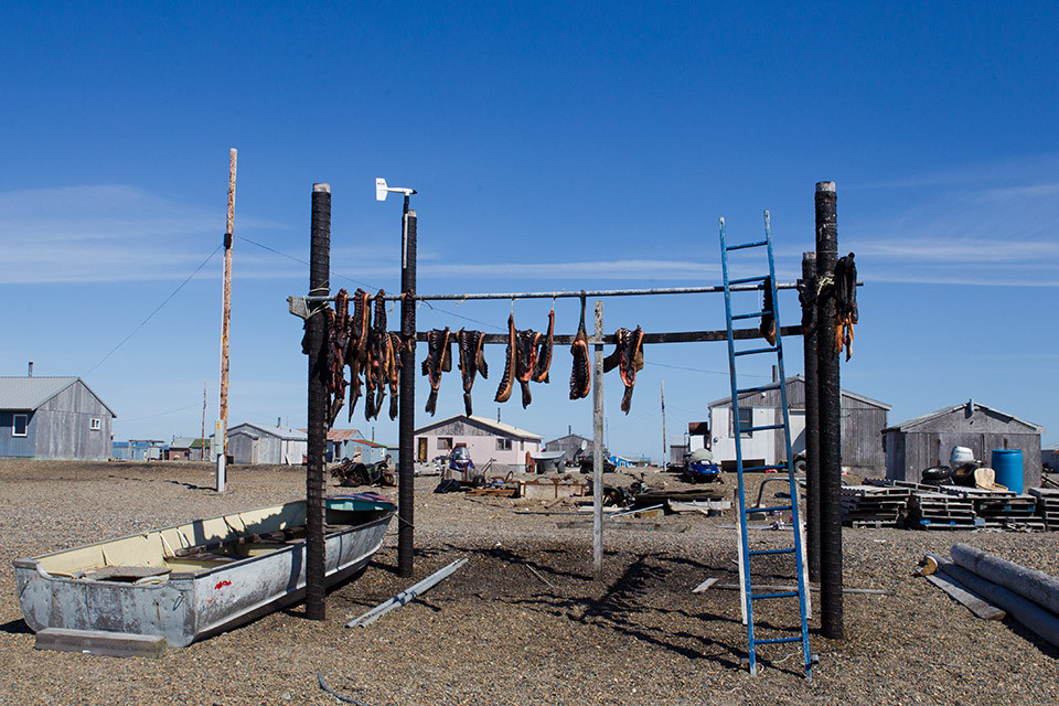 Relatively new drying rack, with wind indicator. Gambell, St. Lawrence Island, Alaska.