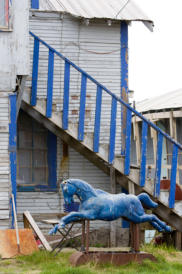 Blue horse and house trim