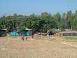 OnWayToSchool_OM53769