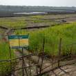 RepeseedDemoPlot_OM53776