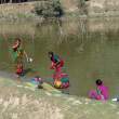Washing_OM01848