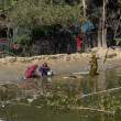 Washing_OM53837
