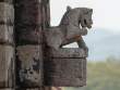 Gargoyle1_OM01126