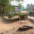 VillageScene_OM52582