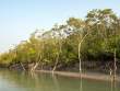 Riverbank_OM53523