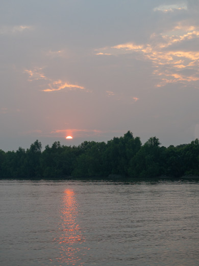 SundarbansSunset2_OM53270