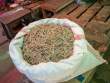 BagOfDriedFish_OM54343