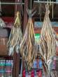 SplitDryFish_OM54356