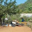 FruitForSale_OM51514