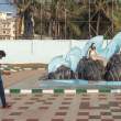 Mermaids_OM51418
