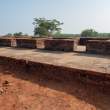 Vihara_OM51559