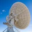 Radio antenna in the Very Large Array