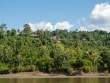 KarawariLodgeFromRiver_OM68414