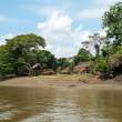 NearManjamiaVillage_OM69132