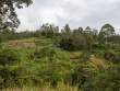 FieldsOnWayToRondonRidgeLodge_OM70716