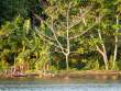 TreesKarkar_OM20979
