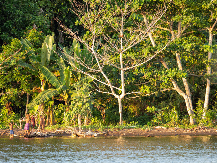 TreesKarkar_OM20979