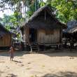 VillageHouses_OM73293