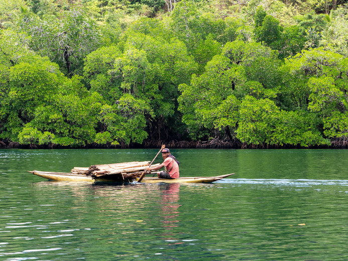 CanoeWithLumber_OM72846