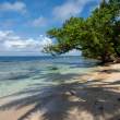 TamiBeach_OM73084