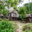 VillageTabuVine_OM72472