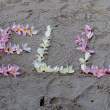 WelcomeFlowers_OM72954