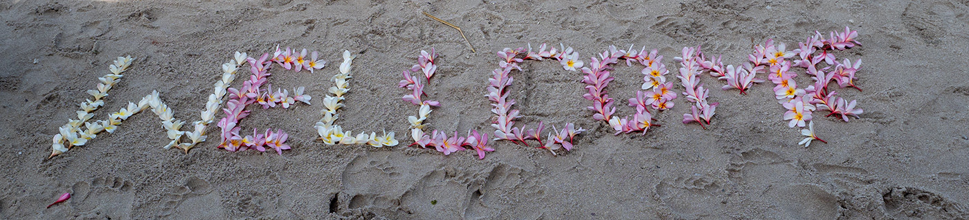 WelcomeFlowers_OM72954