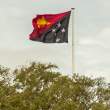PNG_Flag_OM71372