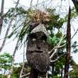 WarriorMaskOnEntranceToVillage_OM70972