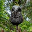 WarriorMaskOnEntranceToVillage_OM70978