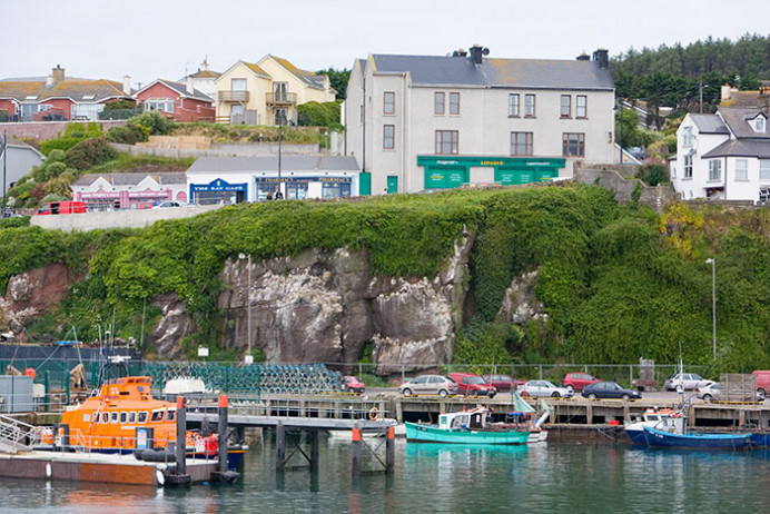 Dock with kittiwake colony (on cliff) and supermarket (green), Dunmore East, Co. Waterford, Ireland