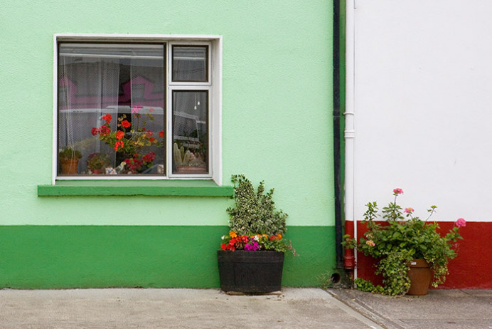 Flowers, Sneem, Co. Kerry, Ireland