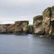 Holm of Noss and Isle of Noss