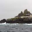 Gannetry on Little Skellig, off the Irish coast