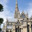 Salisbury Cathedral, from southeast